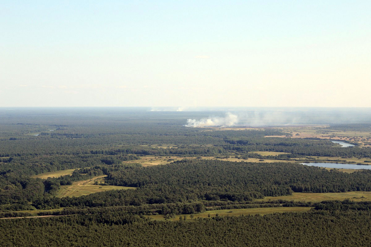 Лесных пожаров на прошедшей неделе на Вологодчине не зарегистрировано.