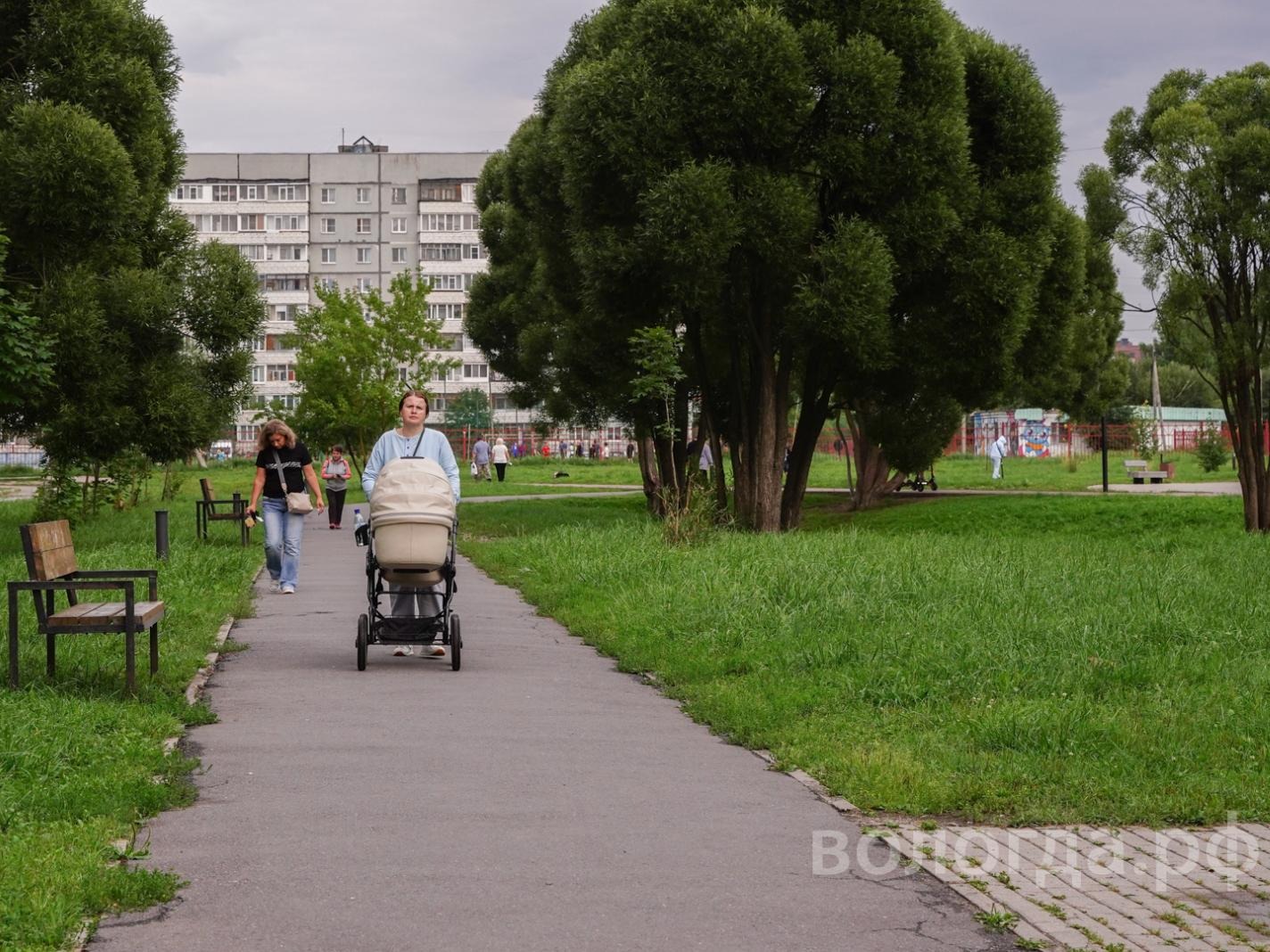Более 800 молодых мам Вологодчины уже получили 100 тысяч рублей, став мамой впервые.