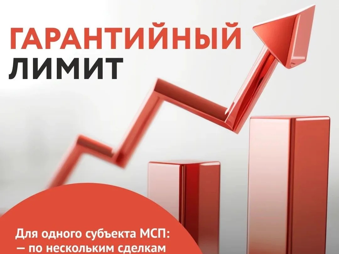 Центр гарантийного обеспечения МСП Вологодской области увеличил предельный объём поручительств за одного заёмщика до 130 млн рублей.