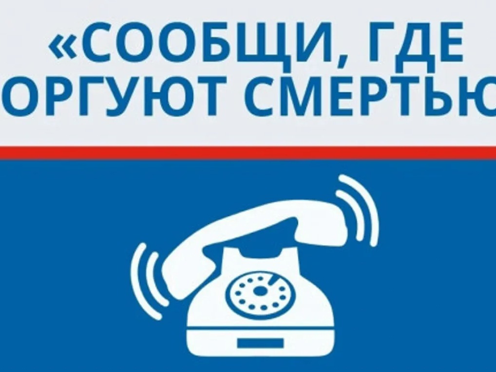 В Вологодской области стартует ежегодная Общероссийская акция «Сообщи, где торгуют смертью».
